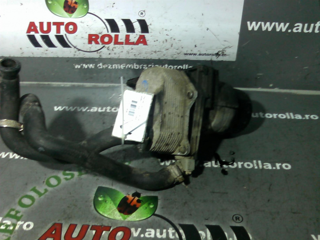 Thermoflot Ford Transit 2.4TD, an 2008, euro4.