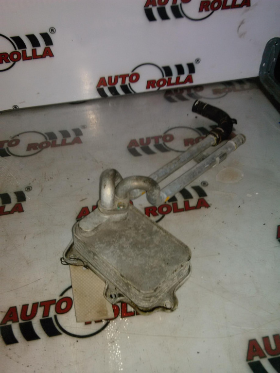 Thermoflot motor Volkswagen Golf 5, 1.6FSI.