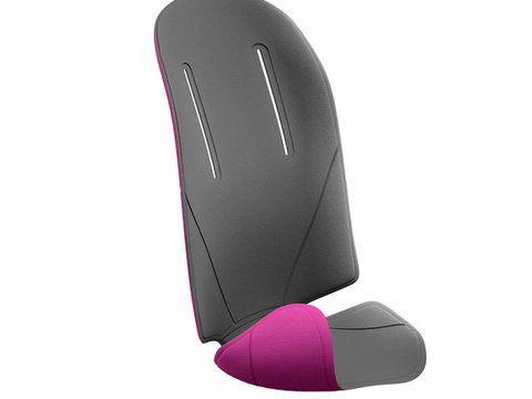 Thule RideAlong - Paddings Purple/Dark Grey - Husa pentru Thule RideAlong mov/gri inchis