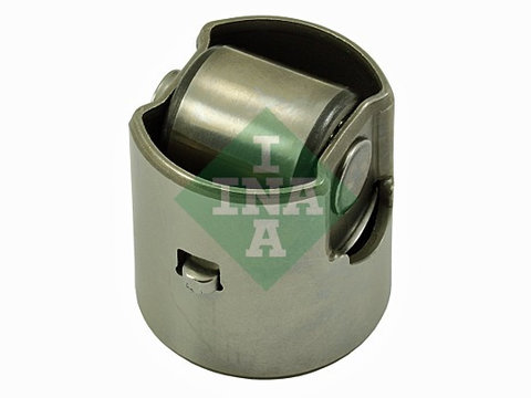 Tija, pompa inalta presiune (711029410 INA) AUDI,AUDI (FAW),BMW,CUPRA,FORD,FORD AUSTRALIA,HONDA,MERCEDES-BENZ,MERCEDES-BENZ (BBDC),MINI,MITSUBISHI,MITSUBISHI (GAC),NISSAN,PEUGEOT,PORSCHE,RENAULT,SEAT,