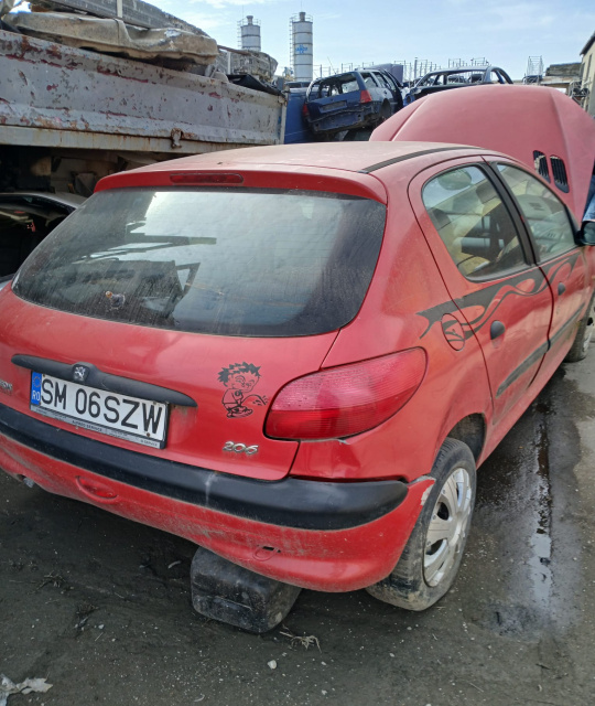 Trager / Calandru Peugeot 206 [1998 - 20