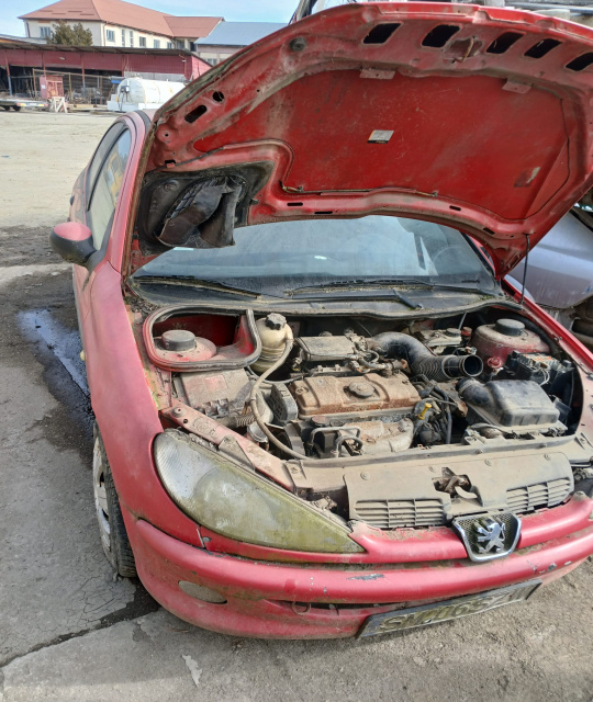 Trager / Calandru Peugeot 206 [1998 - 2003] Hatchb