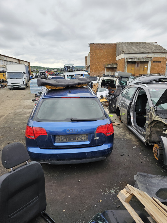 Trapa panoramica 8e9877041q Audi A4 B7 [