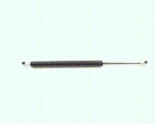 Triscan amortizor haion pt bmw 3(e46), 3 cupe(e46)