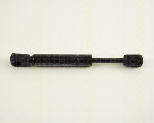 Triscan amortizor haion pt vw golf 3 cabriolet