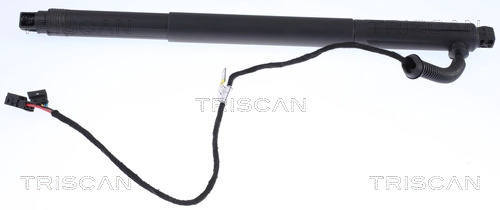 TRISCAN Amortizor portbagaj 871011301 montare stanga la masina BMW X6 (E71, E72) 2007 2008 2009 2010 2011 2012 2013 2014