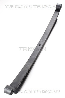 TRISCAN Pachet arc cu foi montare puntea spate 876523021 pentru MERCEDES-BENZ SPRINTER 5-t platou / sasiu (B906) 2006 2007 2008 2009 2010 2011 2012 2013 2014 2015 2016 2017 2018 2019 2020