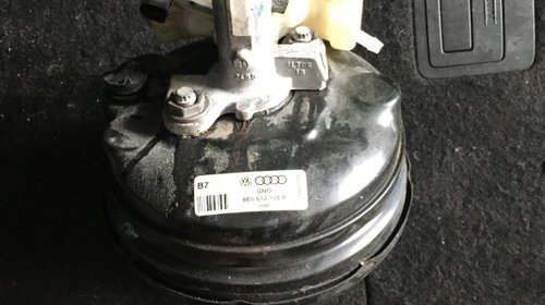 Tulumba pompa servofrana Audi A4 8E06121