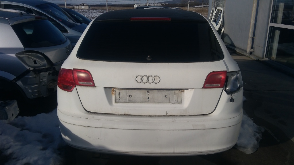 Turbina Audi A3 8P 2005 Hatchback 1896