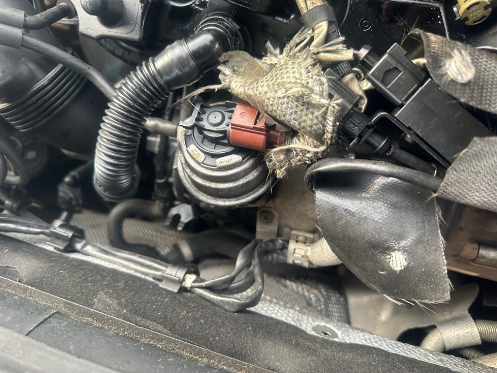 Turbo Turbina Seat Leon Skoda Octavia Audi A3 8V 1.6 Tdi CLH CXX CRC