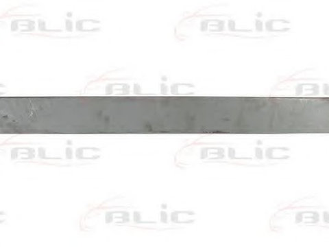 Usa, caroserie FIAT DUCATO caroserie (244) (2002 - 2016) BLIC 6015-00-2092121P