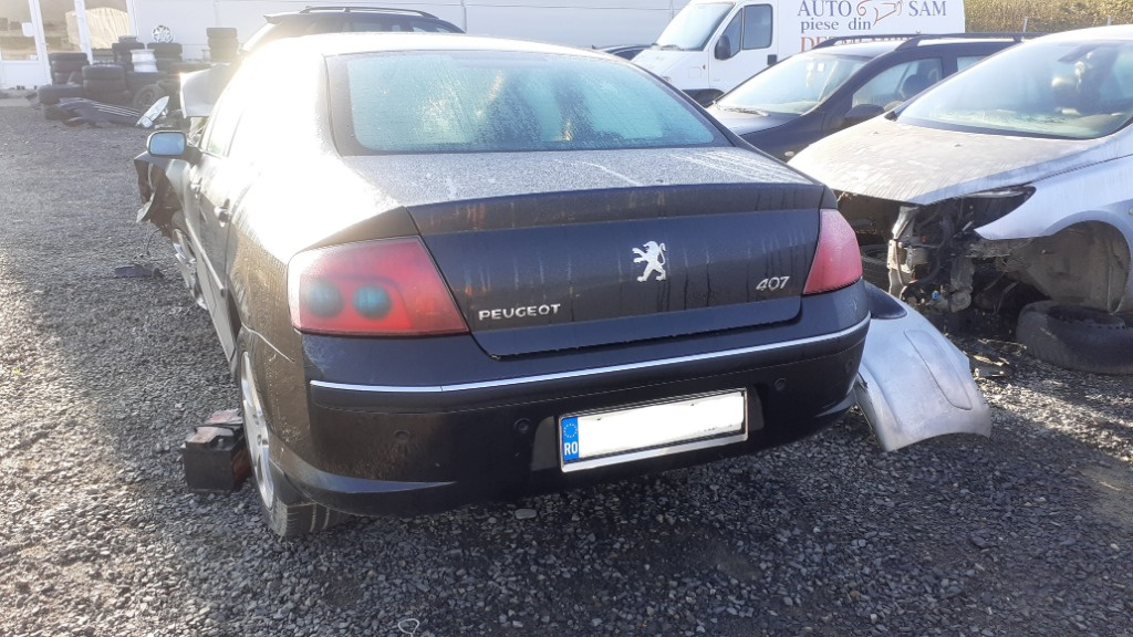 Usa dreapta fata Peugeot 407 2006 BERLINA 2.0 HDI