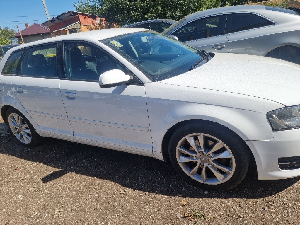 Usa dreapta spate Audi A3 8P 2010 Hatchb