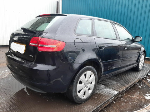 Usa dreapta spate Audi A3 8P 2011 Hatchback 2.0 IDT