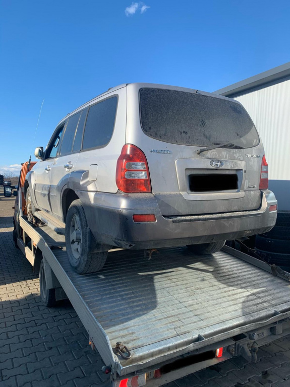 Usa dreapta spate Hyundai Terracan 2005 