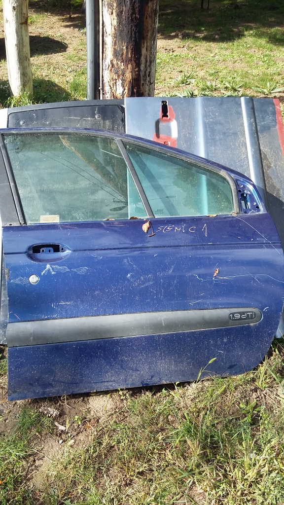 Usa fata dr Renault megane scenic 1