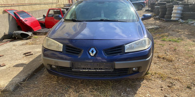 Usa fata stanga Renault Megane 2 [2002 - 2006] wag