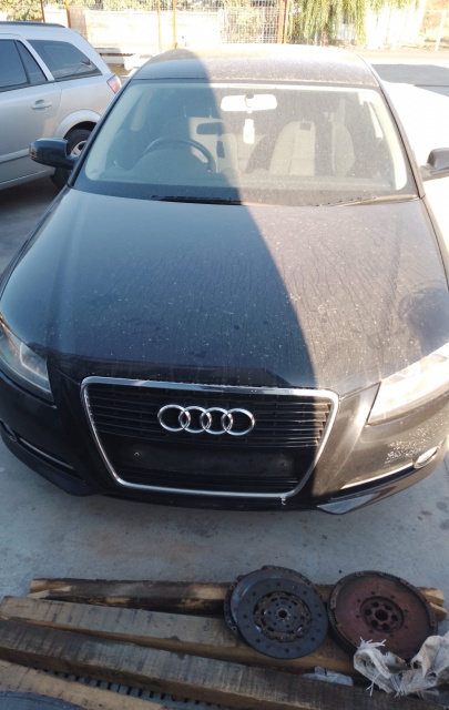 Usa / Portiera fata dreapta Audi A3 8P/8PA [2th facelift] [2008 - 2013] Sportback hatchback 5-usi 2.0 TDI MT (140 hp)