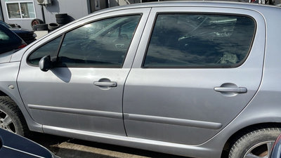 Usa portiera stanga spate Peugeot 307 hatchback 20