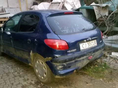 Usa spate - Peugeot 206, 1.9, an 2001