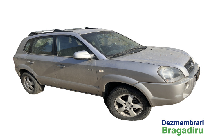 Usa spate stanga Hyundai Tucson [2004 - 