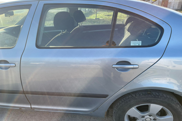Usa spate stanga Skoda Octavia 2 [2004 - 2008] Liftback 5-usi 1.9 TDI MT (105 hp)