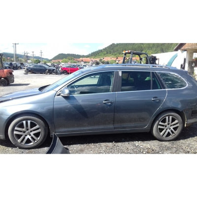 Usa spate Volkswagen Golf V 2008 2.0 TDI Diesel Co