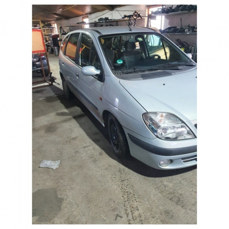 Usa stanga fata Renault Scenic 1