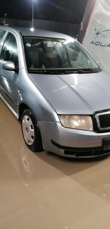 Usa stanga fata Skoda Fabia 2002 HATCHBACK 1.4 MPI