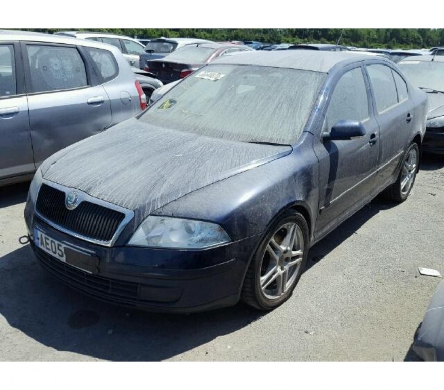 Usa stanga fata Skoda Octavia 1.9 Diesel 2005