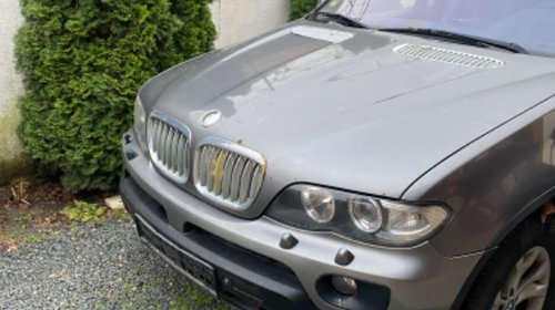 Usa stanga spate BMW X5 E53 2006 Suv 3.0