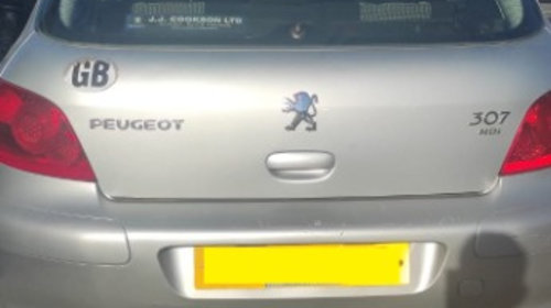 Usa stanga spate Peugeot 307 2006 hatchb