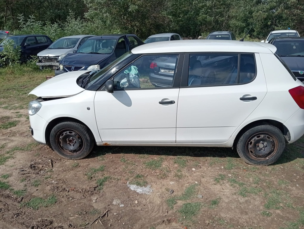 USA STANGA SPATE SKODA FABIA 2009