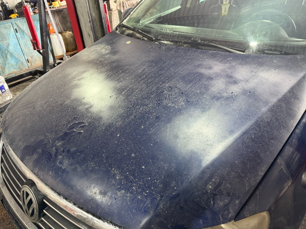 Usa stanga spate Volkswagen Passat B6 20