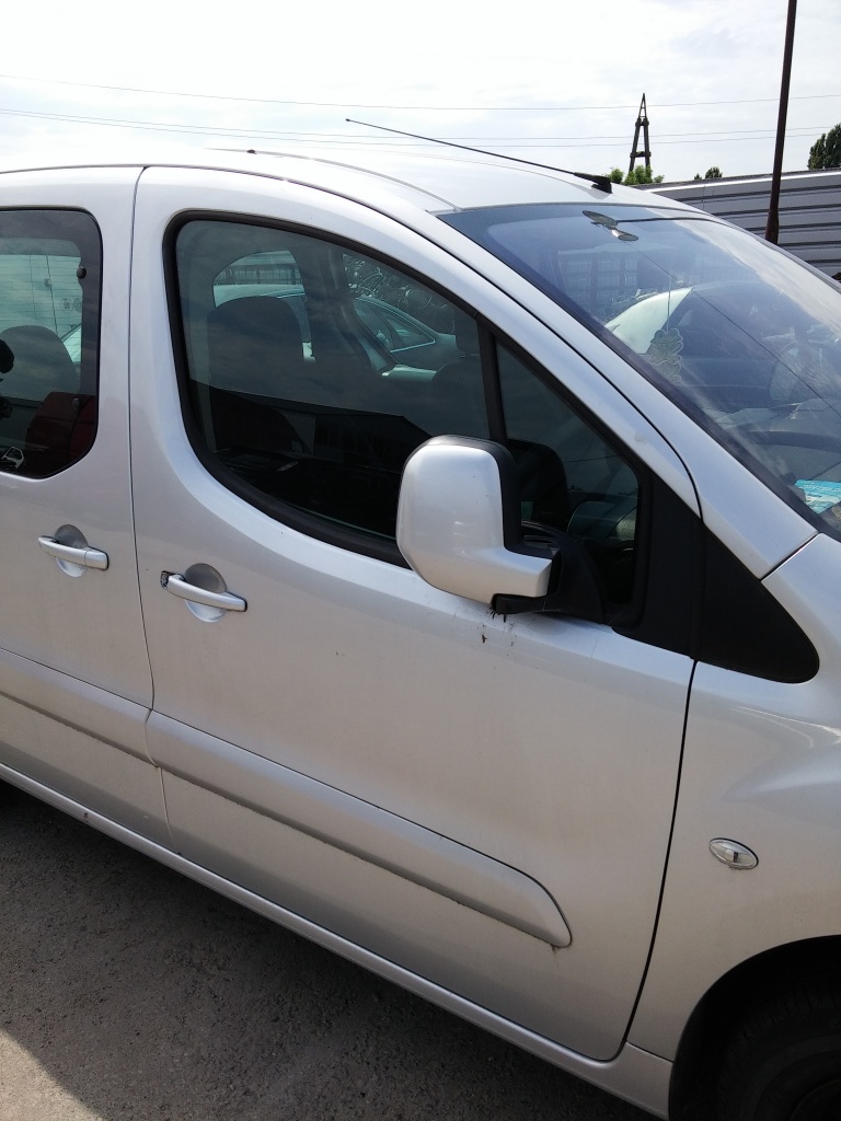 Usi fata stanga/dreapta Peugeot Partner Tepee 2010