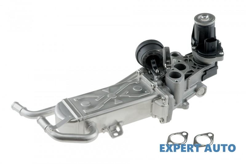 Valva egr Volkswagen Polo (2017->)[AW1,BZ1] #1 03P131512B