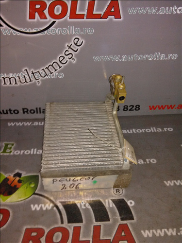 Vaporizator ac Peugeot 206.