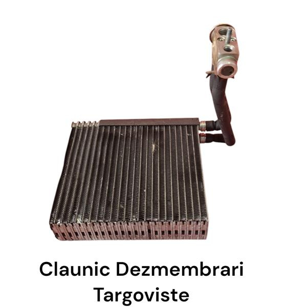 Vaporizator MERCEDES-BENZ B-CLASS (W245) B 180 CDI (245.207) OM 640.940