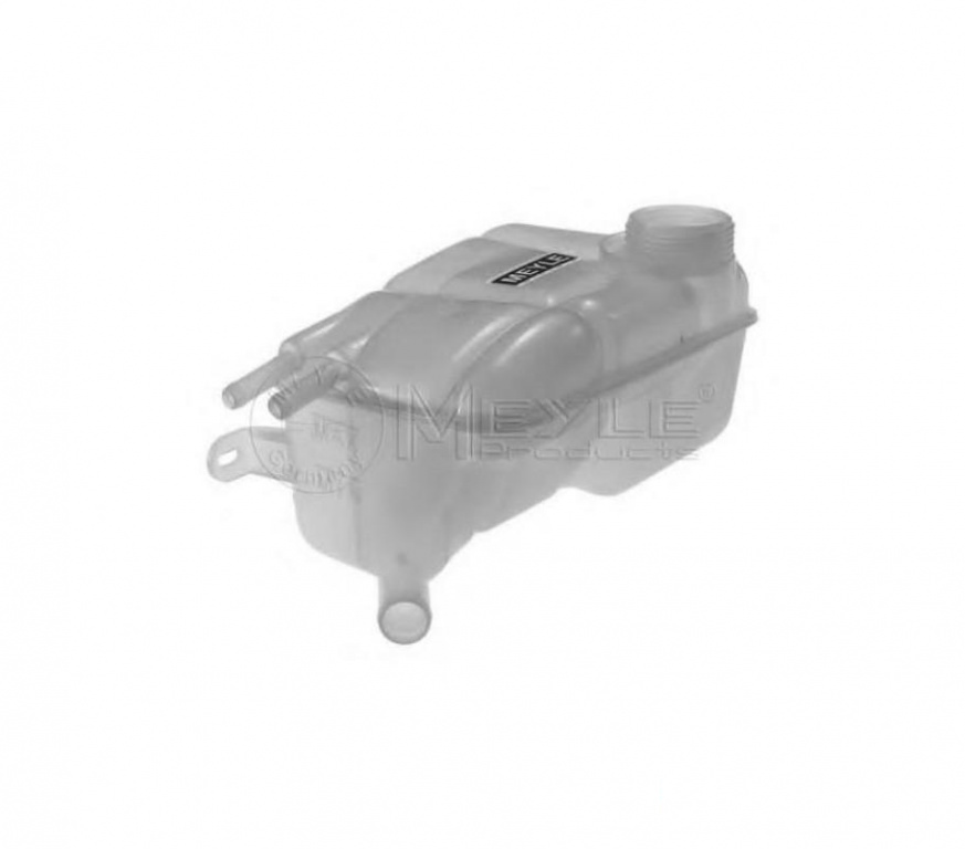 Vas de expansiune, racire Ford FOCUS limuzina (DFW) 1999-2007, Ford FOCUS Clipper (DNW) 1999-2007, Ford FOCUS (DAW, DBW) 1998-2007