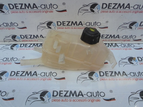 Vas expansiune, 217100005R, Renault Megane 3 combi