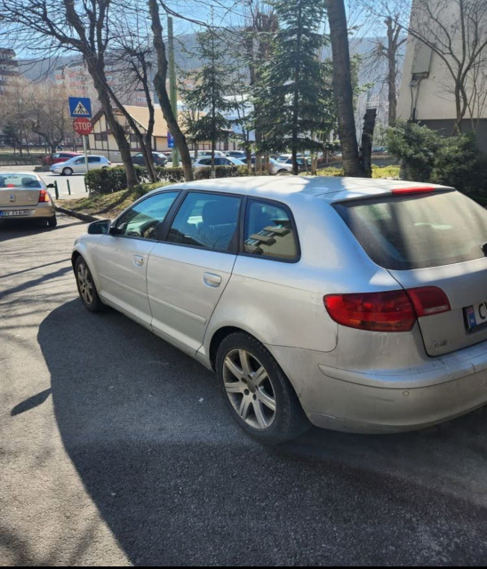 Vas expansiune Audi A3 8P/8PA [2th facel