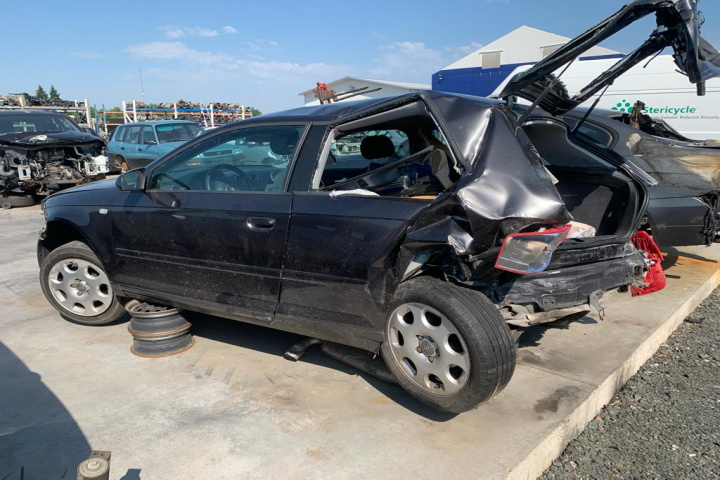 Vas expansiune Audi A3 8P/8PA [facelift]