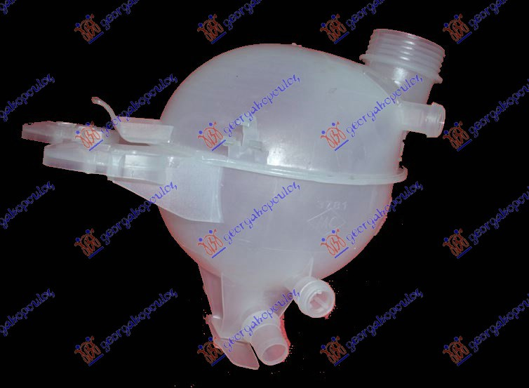 VAS EXPANSIUNE BNZ./DSL. - PEUGEOT 207 06-14, PEUGEOT, PEUGEOT 207 06-14, RENAULT, RENAULT 18, PARTEA FRONTALA, VAS EXPANSIUNE, 027008500