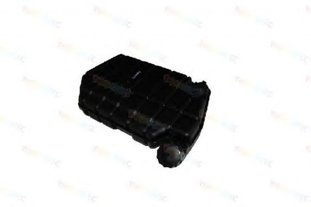 Vas expansiune DAF 95 XF THERMOTEC DBDA001TT