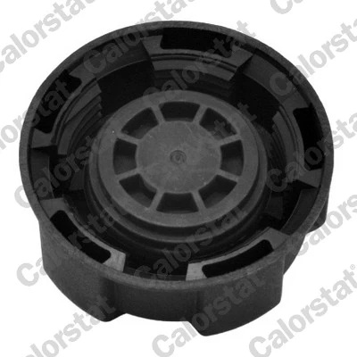 Vas expansiune lichid racire Calorstat b