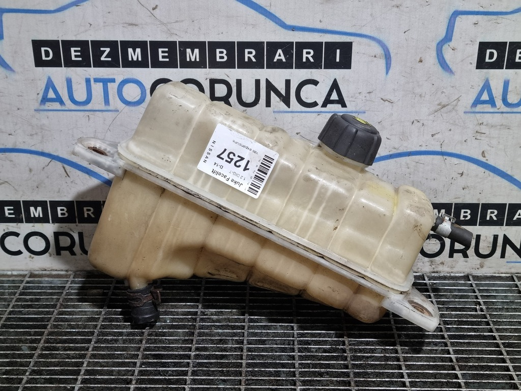 Vas expansiune Nissan Juke Facelift 1.2 DIG - T 20