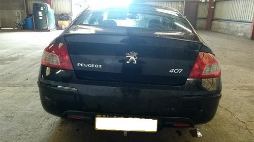 Vas expansiune Peugeot 407 2009 Sedan 2.