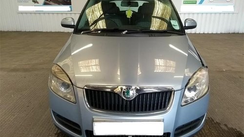 Vas expansiune Skoda Fabia II 2010 Hatch