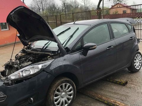 Vas lichid parbriz Ford Fiesta 6 2015