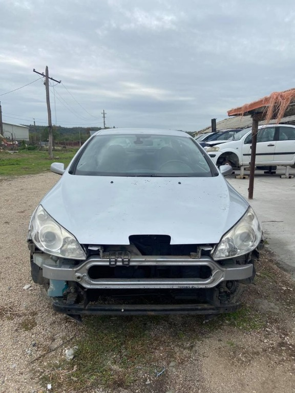 Vas lichid parbriz Peugeot 407